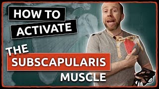 How to ACTIVATE The SUBSCAPULARIS Muscle [upl. by Hickey758]