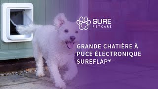 Grande chatière à puce électronique SureFlap® [upl. by Drahsir]