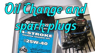 MerCruiser 30 oil change and spark plugs [upl. by Lyrej]