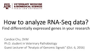 How to analyze RNASeq data Find differentially expressed genes in your research [upl. by Glenna]