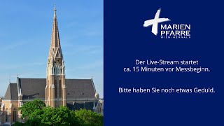 Messe zum Christkönigssonntag in der Marienkirche  24112024 930Uhr [upl. by Runck567]