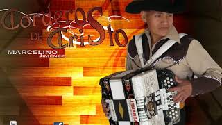 Marcelino Jimenez Y Los Corderos De Cristo Mix De Coros  1 [upl. by Torray]