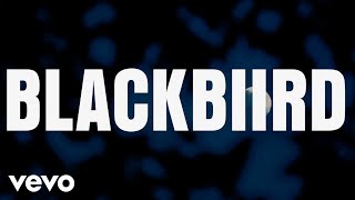 BLACKBIIRD Official Lyric Video [upl. by Sseb15]