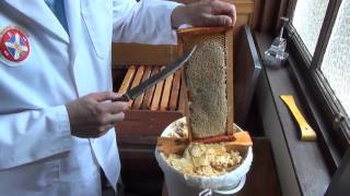 6 Harvesting and processing honey from your honeybees [upl. by Padgett]