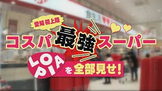 愛知県初上陸！【コスパ最強スーパーロピア】鍋つゆ約100種類！メガ盛りお惣菜！こんなスーパー見たことない！ [upl. by Sherline]