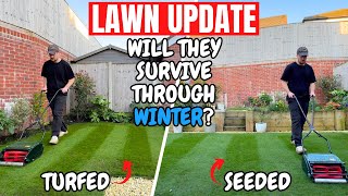 Will my lawns survive through winter  Lawn Update [upl. by Kennett]