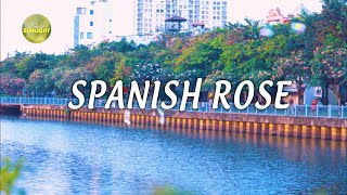 Spanish Rose  Chill Tunes for a Light and Effective Mood  Part 210 [upl. by Nola]