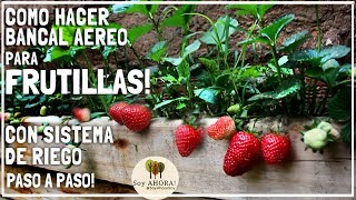 🍓 FRUTILLAS en BANCAL AÉREO Con SISTEMA de RIEGO Fácil y Económico [upl. by Lorin]