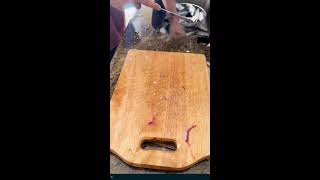 CLEANING AND CUTTING A MACKAREL FISH ASMR [upl. by Maram]