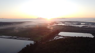 Novato California by drone [upl. by Soisinoid]