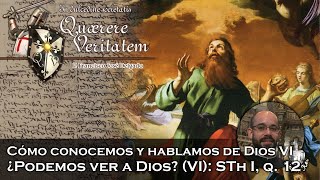 ¿Podemos ver a Dios VI STh I q 12  Quaerere Veritatem 55 [upl. by Conrado]