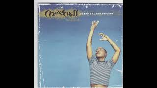 🎧 Meshell Ndegeocello  Who Is He And What Is He To You [upl. by Acimak]