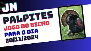 palpite jogo do bicho para o dia 20112024 [upl. by Nyrat609]