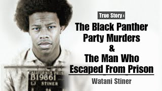 The Black Panther Party Murders amp The Man Who Escaped From Prison  Watani Stiner [upl. by Oneladgam925]