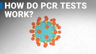 How do COVID19 tests work RTPCR explained [upl. by Beacham207]