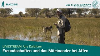 VERSCHOBEN Livestream Urs Kalbitzer quotFreundschaften und das Miteinander bei Affenquot [upl. by Asus133]