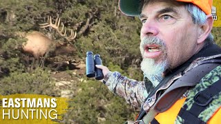 Elk Hunting One Of Colorados Best Areas [upl. by Erotavlas]