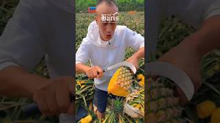 Petani Buah buah shorts [upl. by Erotavlas]