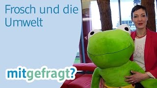 Fliesen reinigen mit Frosch Reiniger in BioQualität  dm mitgefragt Folge 43 [upl. by Anitnuahs726]