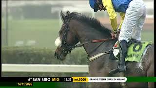 20201114 Grande Steeple Chase Di Milano ITA  Northerly Wind [upl. by Lune]