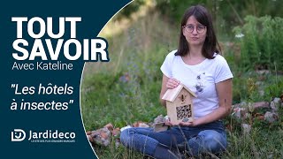 TOUT SAVOIR sur les hôtels à insectes  Avec Kateline [upl. by Aseneg]