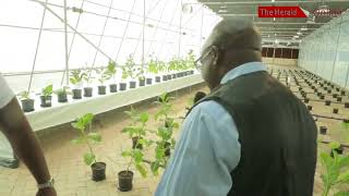 Modern greenhouse to improve tobacco research production [upl. by Aihsakal]