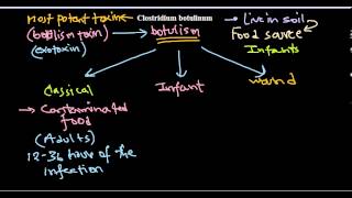 Clostridium botulinum infection [upl. by Nodanrb968]