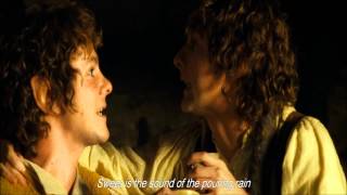 Edge of Night Pippins song in LOTR 3  1 hour [upl. by Cleave164]