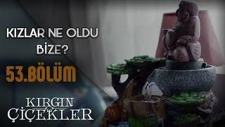 Kırgın Çiçekler 53Bölüm  Ne oldu bize kızlar [upl. by Enelrahc]