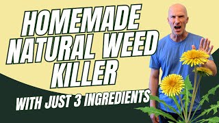 Homemade Natural WEED KILLER with Just 3 Ingredients [upl. by Inamik]