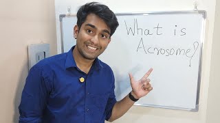 Learn What is Acrosome   Acrosome  Key to Fertilization  in Biology [upl. by Ahsaten479]