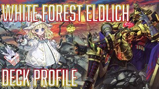 YUGIOH White Forest Eldlich Deck Profile [upl. by Aniahs762]