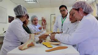 Técnico en Podología Clínica Santo Tomás [upl. by Neehsas]