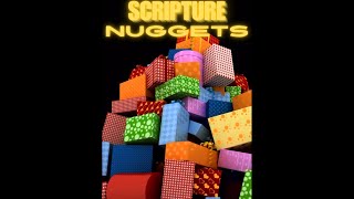 Scripture Nuggets  Stir up the Gift [upl. by Elberfeld148]