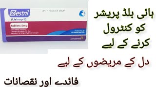 zestril tablet uses in Urdu hypertension zestril 10 mg lisinopril for high blood pressure [upl. by Silbahc]