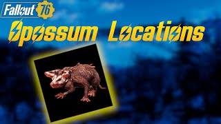 Fallout 76  Opossum Locations [upl. by Thomasa]