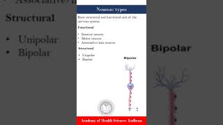 Types of neurons  HistologyPhysiology  by Imran Yaseen [upl. by Madaras]