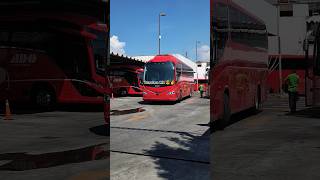 Nuevo Irizar i8 Efficient Mercedes Benz ADO 🔴 ado irizar bus travel shorts [upl. by Juanne]