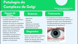 Complexo de Golgi estrutura e patologia [upl. by Lyrehs]