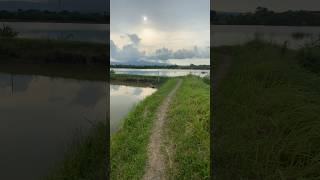 Walking at pilapil fish farm side fish pilapil crab bangus fishfarming sunset [upl. by Devland85]