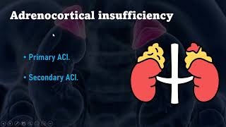 Adrenocortical insufficiency [upl. by Desmond]