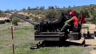 Hellenic AA guns Mk20 Rh202 firing [upl. by Assil14]