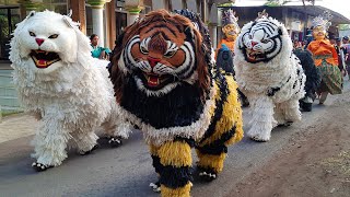 Live KIRAB CAN MACANAN SINGO MANGGALA amp DRUMBAND MAONG KEMBAR DI MENGEN [upl. by Rosalinde]