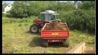 Carting soil with Massey Ferguson 3085 amp MF 590 [upl. by Holcomb946]