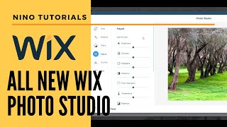 Wix Photo Studio  Wix For Beginners  Wix Tutorial [upl. by Oranneg]