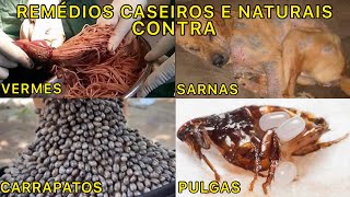 REMÉDIOS CASEIROS E NATURAIS CONTRA PULGAS CARRAPATOS PIOLHOS SARNAS E VERMES EM CÃES [upl. by Ailaht]