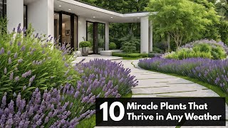 Top 10 Miracle Plants That Thrive in Any Weather [upl. by Stefan]