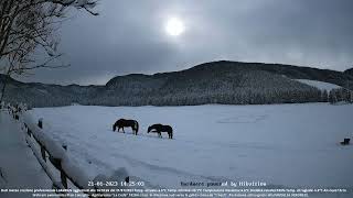 20230121 Webcam Cansiglio  verso la piana dei quotBechquot [upl. by Werdn467]