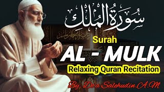 Most Relaxing Recitation of Surah AlMulk  سورة الملك   Salehudin AM [upl. by Leonhard]