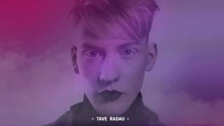 Silvester Belt  TAVE RADAU Official Audio [upl. by Laure]